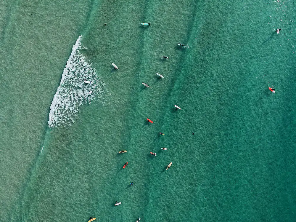 High performance surfboards lined up